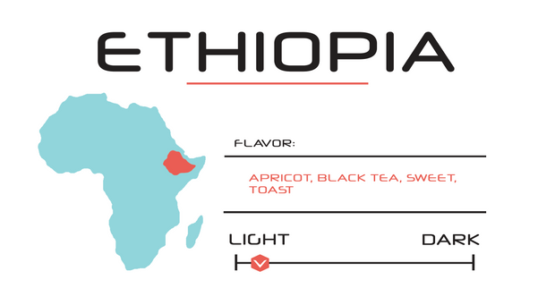 Ethiopia |12oz - Light Roast