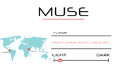 Muse | 12oz - Light Roast